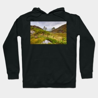 Raindrops on Holme Fell Hoodie